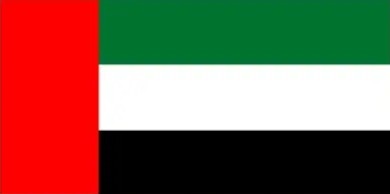 Flag of UAE